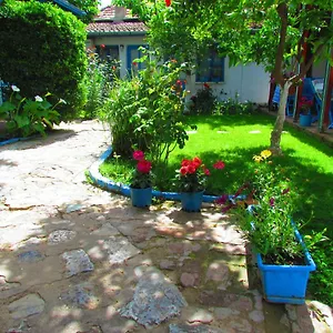 Amazon Antique Selcuk